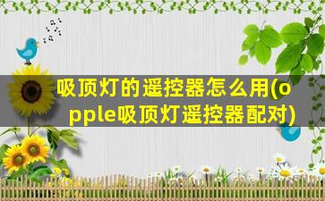 吸顶灯的遥控器怎么用(opple吸顶灯遥控器配对)