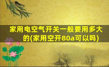 家用电空气开关一般要用多大的(家用空开80a可以吗)