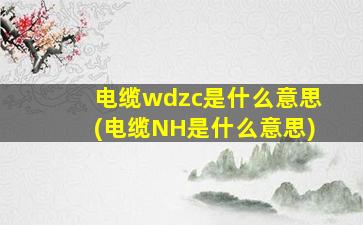 电缆wdzc是什么意思(电缆NH是什么意思)