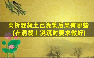 离析混凝土已浇筑后果有哪些(在混凝土浇筑时要求做好)