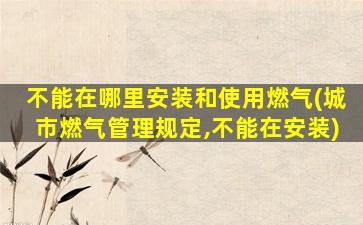 不能在哪里安装和使用燃气(城市燃气管理规定,不能在安装)