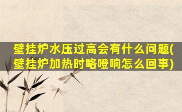 壁挂炉水压过高会有什么问题(壁挂炉加热时咯噔响怎么回事)