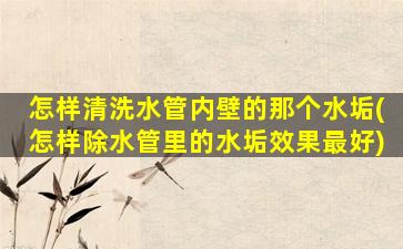 怎样清洗水管内壁的那个水垢(怎样除水管里的水垢效果最好)