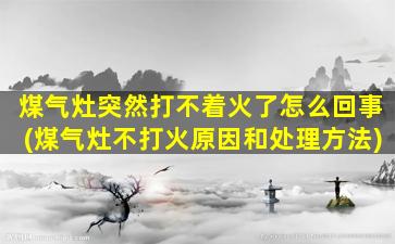 煤气灶突然打不着火了怎么回事(煤气灶不打火原因和处理方法)