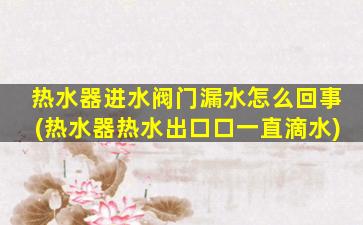 热水器进水阀门漏水怎么回事(热水器热水出口口一直滴水)