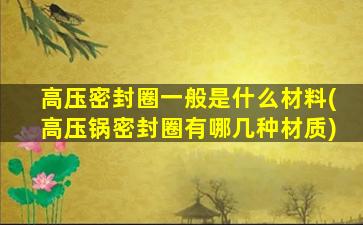 高压密封圈一般是什么材料(高压锅密封圈有哪几种材质)