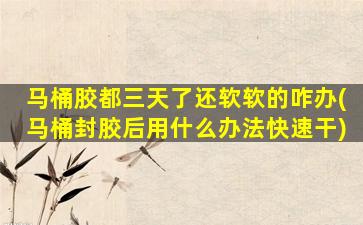 马桶胶都三天了还软软的咋办(马桶封胶后用什么办法快速干)
