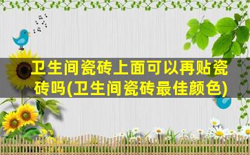 卫生间瓷砖上面可以再贴瓷砖吗(卫生间瓷砖最佳颜色)
