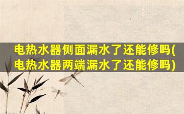 电热水器侧面漏水了还能修吗(电热水器两端漏水了还能修吗)