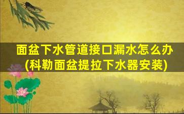 面盆下水管道接口漏水怎么办(科勒面盆提拉下水器安装)