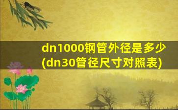 dn1000钢管外径是多少(dn30管径尺寸对照表)
