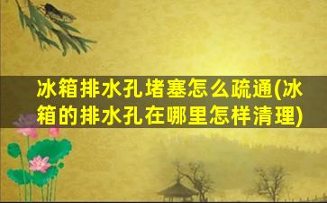 冰箱排水孔堵塞怎么疏通(冰箱的排水孔在哪里怎样清理)