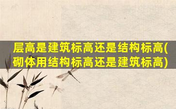层高是建筑标高还是结构标高(砌体用结构标高还是建筑标高)