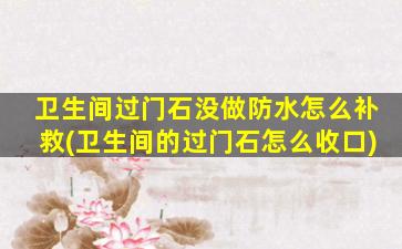 卫生间过门石没做防水怎么补救(卫生间的过门石怎么收口)