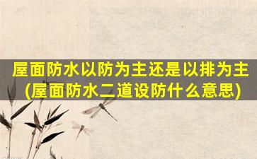 屋面防水以防为主还是以排为主(屋面防水二道设防什么意思)