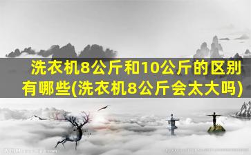 洗衣机8公斤和10公斤的区别有哪些(洗衣机8公斤会太大吗)