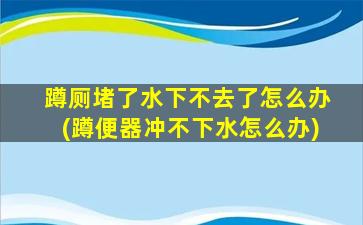 蹲厕堵了水下不去了怎么办(蹲便器冲不下水怎么办)