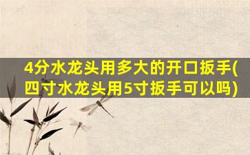 4分水龙头用多大的开口扳手(四寸水龙头用5寸扳手可以吗)