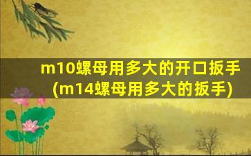 m10螺母用多大的开口扳手(m14螺母用多大的扳手)
