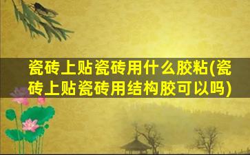 瓷砖上贴瓷砖用什么胶粘(瓷砖上贴瓷砖用结构胶可以吗)