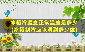 冰箱冷藏室正常温度是多少(冰箱制冷应该调到多少度)