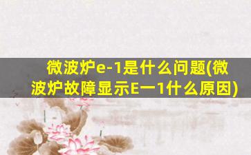 微波炉e-1是什么问题(微波炉故障显示E一1什么原因)
