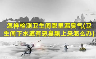 怎样检测卫生间哪里漏臭气(卫生间下水道有恶臭飘上来怎么办)