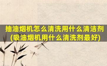 抽油烟机怎么清洗用什么清洁剂(吸油烟机用什么清洗剂最好)