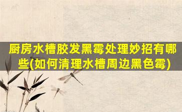 厨房水槽胶发黑霉处理妙招有哪些(如何清理水槽周边黑色霉)
