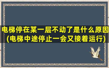 电梯停在某一层不动了是什么原因(电梯中途停止一会又接着运行)
