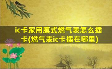 ic卡家用膜式燃气表怎么插卡(燃气表ic卡插在哪里)