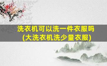 洗衣机可以洗一件衣服吗(大洗衣机洗少量衣服)