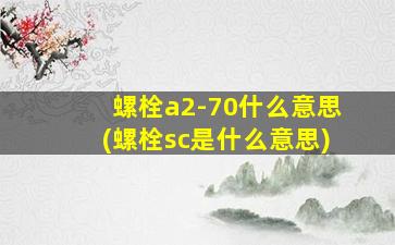 螺栓a2-70什么意思(螺栓sc是什么意思)