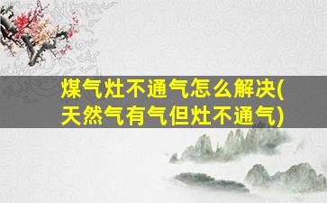 煤气灶不通气怎么解决(天然气有气但灶不通气)
