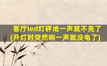 客厅led灯砰地一声就不亮了(开灯时突然响一声就没电了)