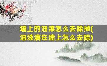 墙上的油漆怎么去除掉(油漆滴在墙上怎么去除)