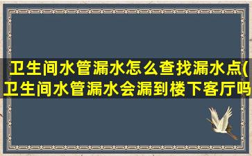 卫生间水管漏水怎么查找漏水点(卫生间水管漏水会漏到楼下客厅吗)