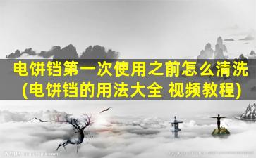 电饼铛第一次使用之前怎么清洗(电饼铛的用法大全 视频教程)