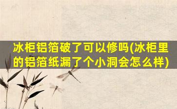 冰柜铝箔破了可以修吗(冰柜里的铝箔纸漏了个小洞会怎么样)