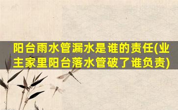 阳台雨水管漏水是谁的责任(业主家里阳台落水管破了谁负责)