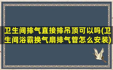 卫生间排气直接排吊顶可以吗(卫生间浴霸换气扇排气管怎么安装)