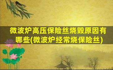 微波炉高压保险丝烧毁原因有哪些(微波炉经常烧保险丝)