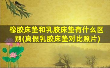 橡胶床垫和乳胶床垫有什么区别(真假乳胶床垫对比照片)