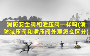 消防安全阀和泄压阀一样吗(消防减压阀和泄压阀外观怎么区分)