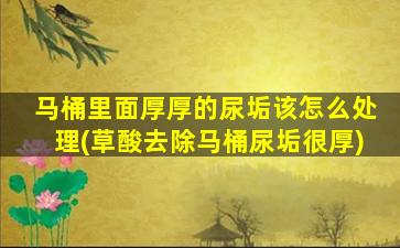 马桶里面厚厚的尿垢该怎么处理(草酸去除马桶尿垢很厚)