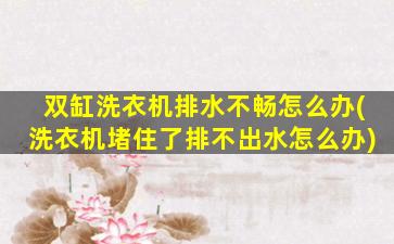 双缸洗衣机排水不畅怎么办(洗衣机堵住了排不出水怎么办)