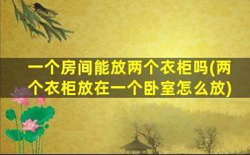 一个房间能放两个衣柜吗(两个衣柜放在一个卧室怎么放)