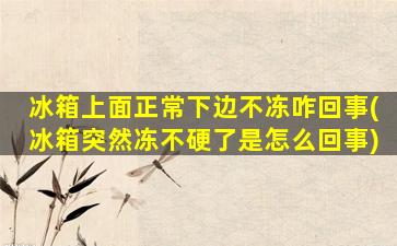 冰箱上面正常下边不冻咋回事(冰箱突然冻不硬了是怎么回事)