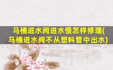 马桶进水阀进水慢怎样修理(马桶进水阀不从塑料管中出水)