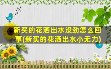 新买的花洒出水没劲怎么回事(新买的花洒出水小无力)